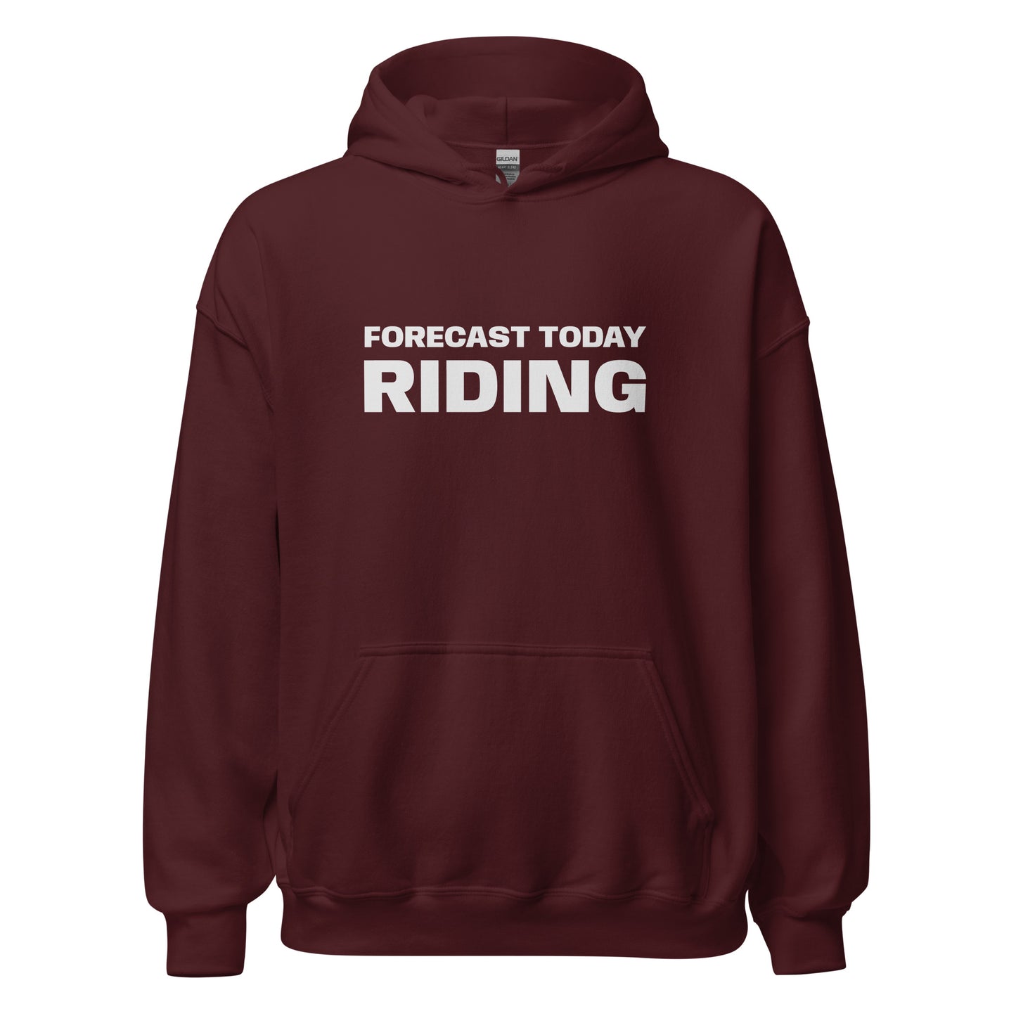 Forecast Today Riding™ Unisex Hoodie